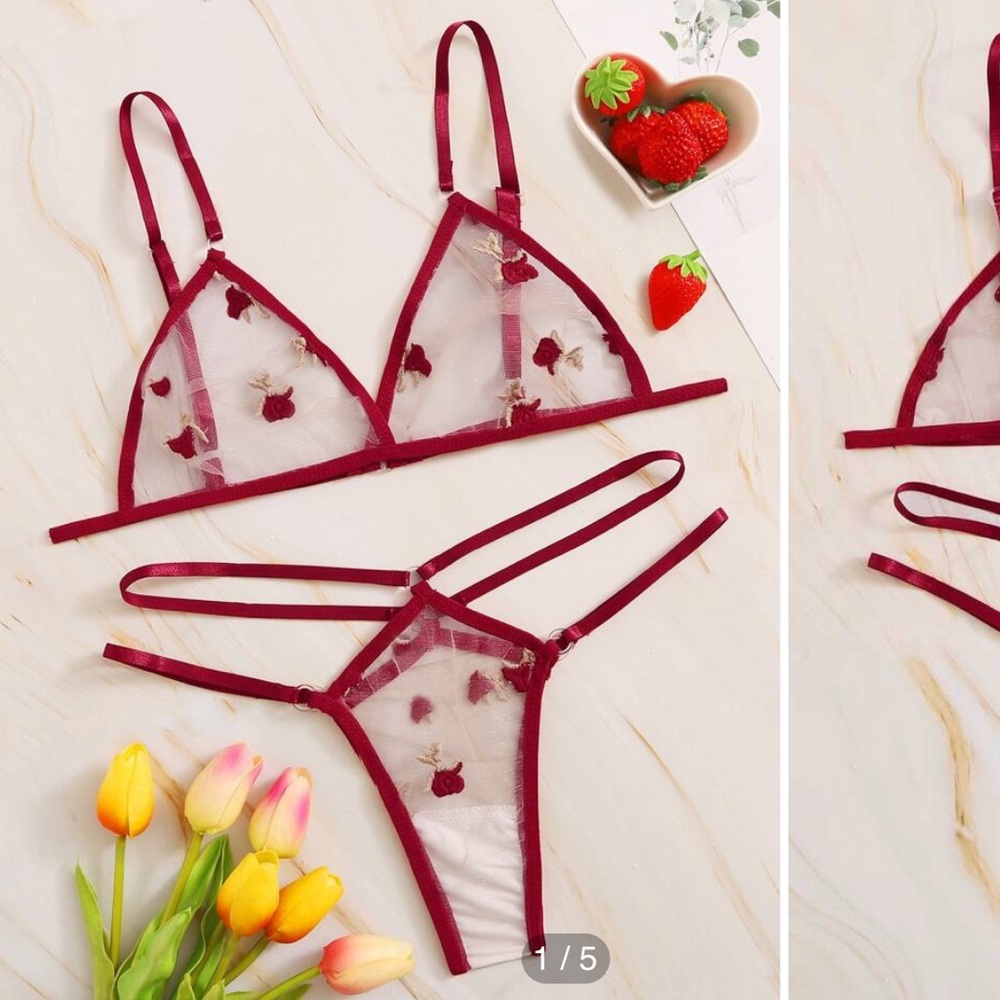 Embroidered Mesh Cut-Out Sheer Lingerie Set